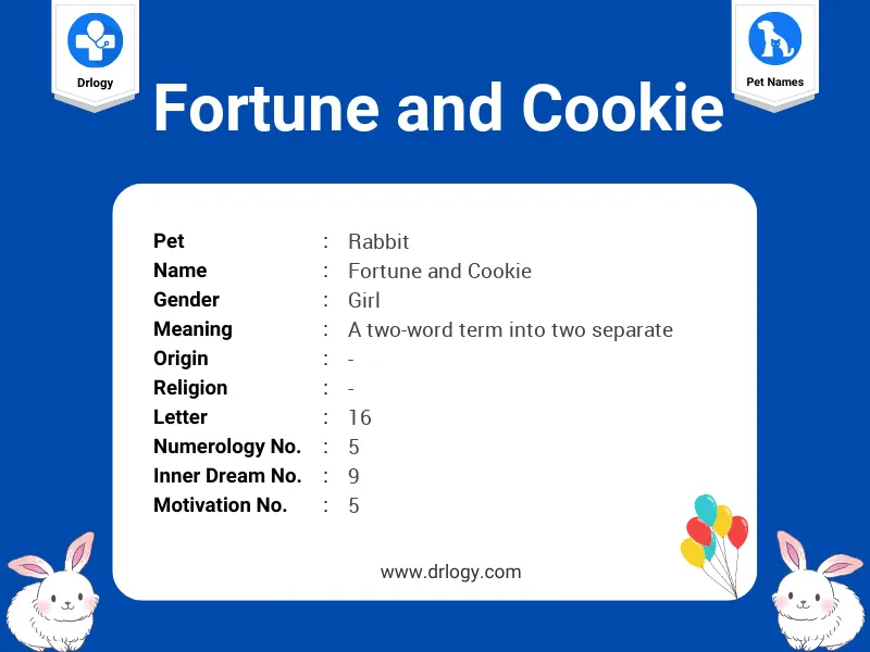 Fortune And Cookie Name Meaning
